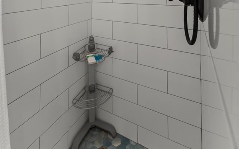 Main Level ensuite shower